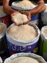 کاهش قیمت انواع برنج ایرانی ؛ برنج ایرانی جایگزین برنج خارجی می شود؟ | جدیدترین قیمت انواع برنج ایرانی را ببینید