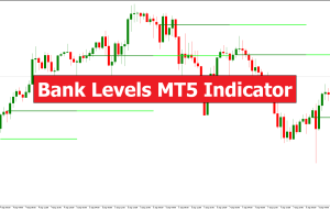 Bank Levels MT5 Indicator – ForexMT4Indicators.com