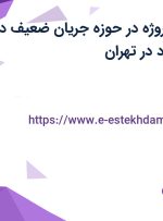 استخدام مدیر پروژه در حوزه جریان ضعیف در فرین تجارت زمرد در تهران