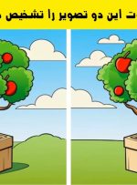 آزمون تفاوت درخت سیب: 3 تفاوت دو تصویر را پیدا کنید