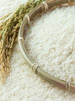 وقتی برنج در رشت ۵۰ درصد ارزان شد/ جزییات قیمت‌ها