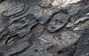 آشکار شدن سنگ‌نگاره‌های باستانی بر اثر خشکسالی