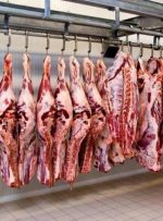 قیمت گوشت در بازار به روز شد / سردست و ماهیچه گوسفندی چند؟