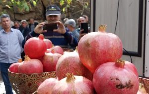 لزوم تبدیل جشنواره انار به برند گردشگری درجزین