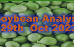 Long-term soybean trading opportunity – Analytics & Forecasts – 29 October 2023