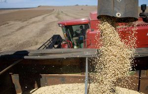 Global food price indexes unlikely to rise materially during El Niño event – ANZ