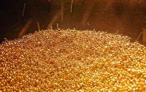Gold Prices Collapse the Most Since June 2021 Last Week, Retail Bets Aggressively Long