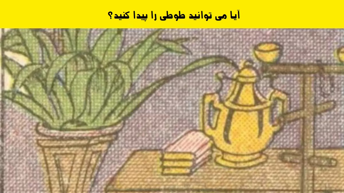 آزمون بینایی تشخیص طوطی