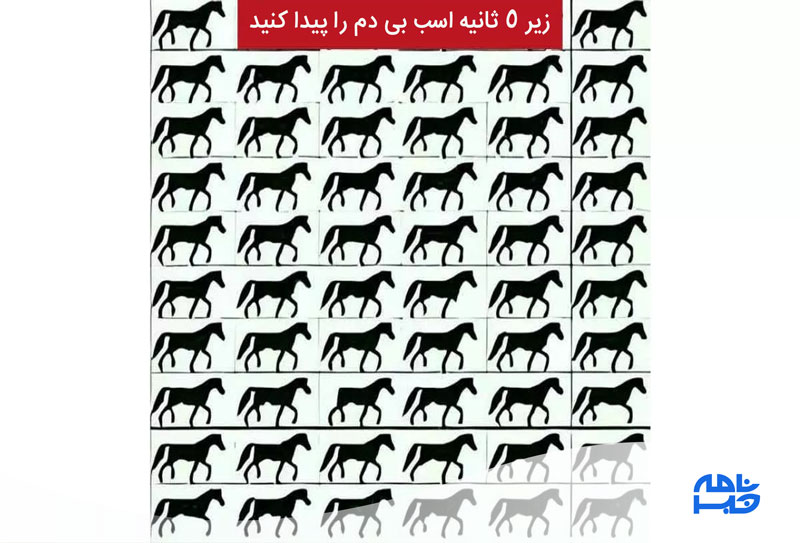 آزمون تشخیص اسب بی دم