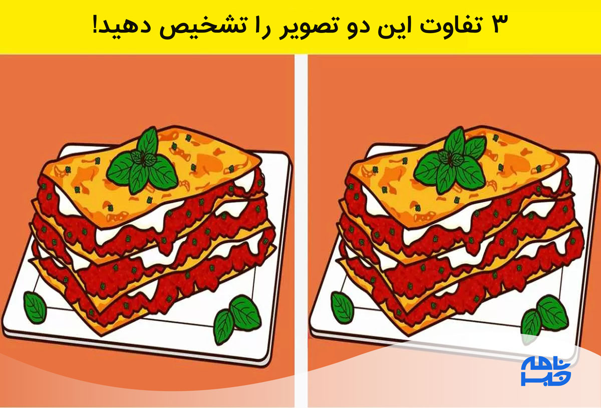 آزمون تشخیص تفاوت تصویر لازانیا