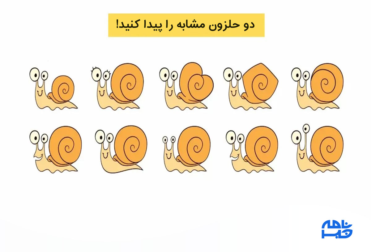 آزمون تشخیص حلزون های مشابه