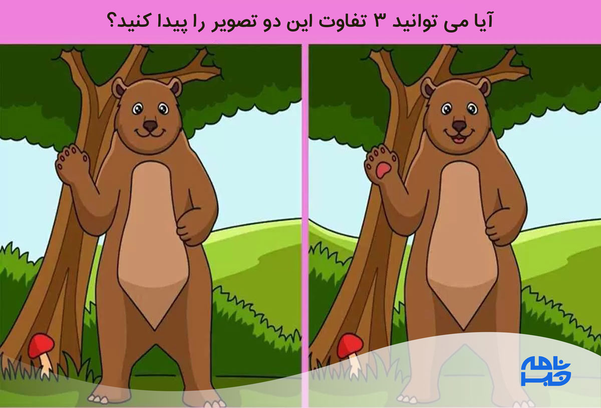 آزمون تفاوت تصویر خرس