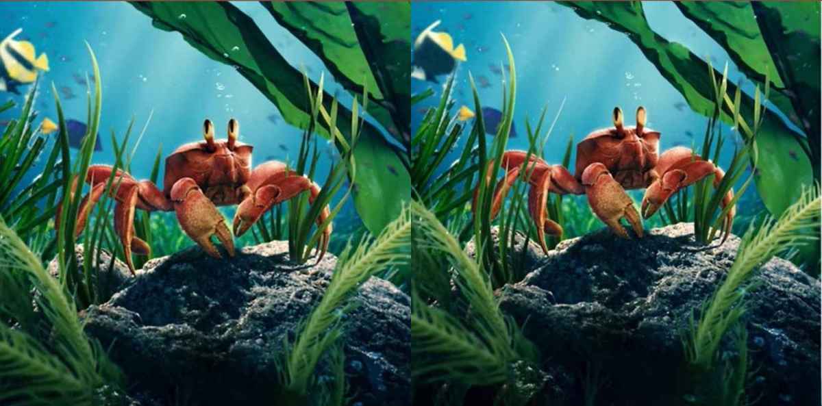 آزمون تفاوت تصویر خرچنگ