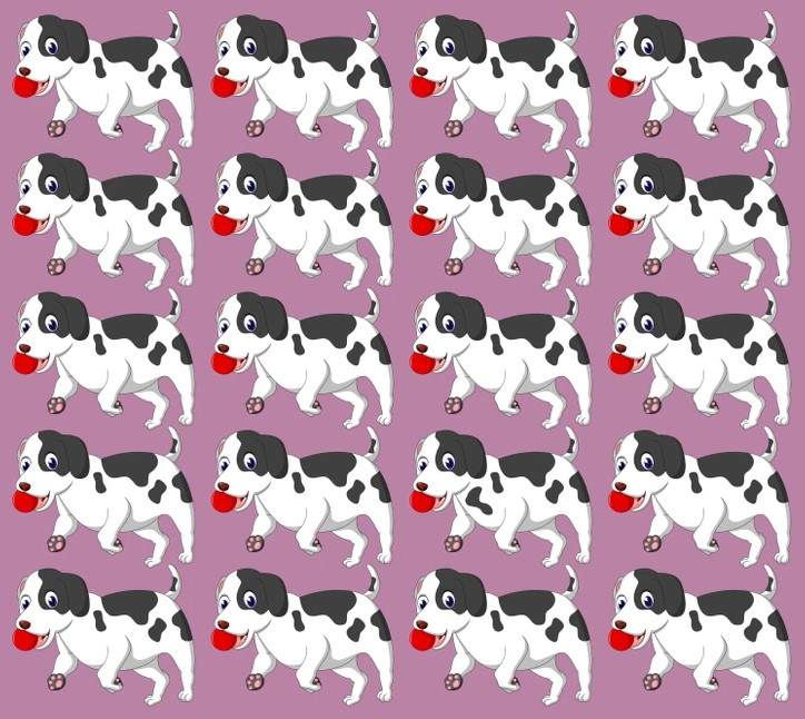 سگ متفاوت را پیدا کنید