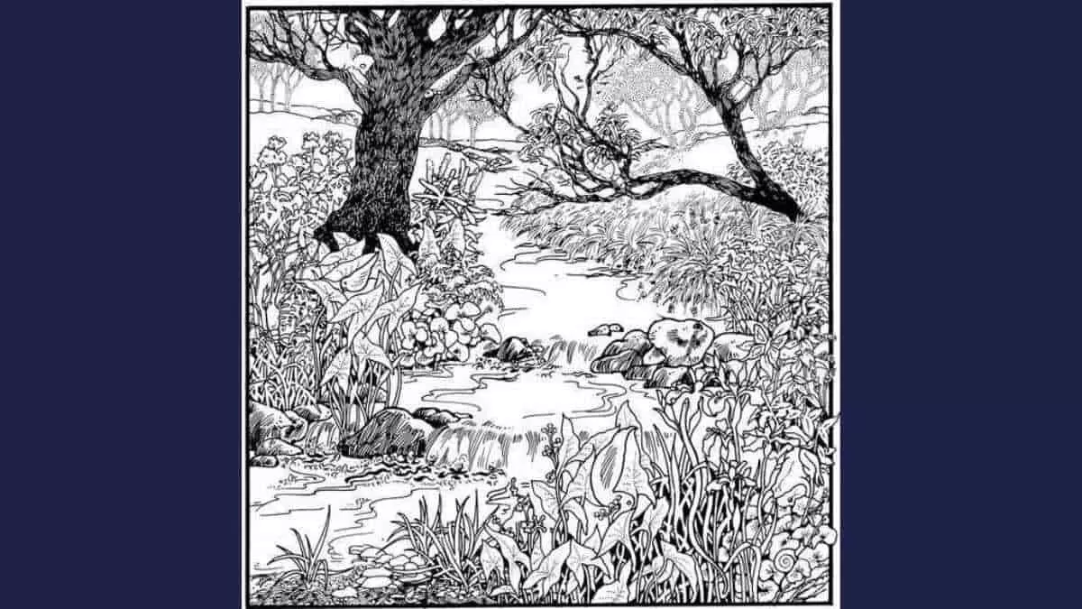 آزمون پیدا کردن دختر