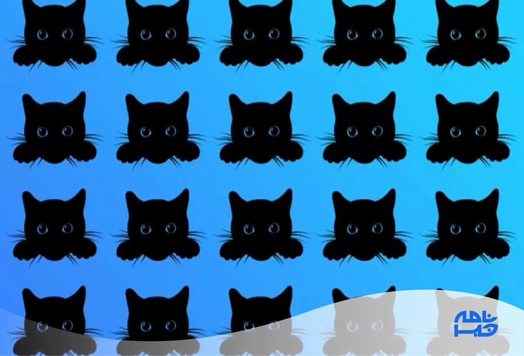 آزمون گربه سیاه متفاوت