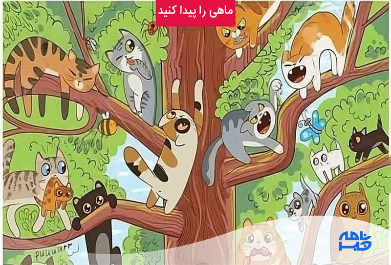 آزمون یافتن ماهی