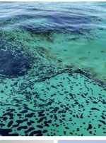 آلودگی نفتی در سواحل گناوه مهار شد