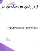 استخدام حسابدار با بیمه در رابین هونامیک برنا در دریان نو تهران