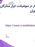 استخدام حسابدار در سوشیانت ابزار ستارگان در شیخ هادی تهران