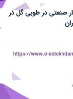 استخدام حسابدار صنعتی در طوبی گل در محدوده اباذر تهران