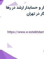 استخدام حسابدار و حسابدار ارشد در رها تجارت مهر ماندگار در تهران