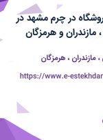 استخدام مدیر فروشگاه در چرم مشهد در اصفهان، قزوین، مازندران و هرمزگان
