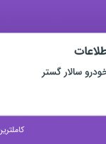 استخدام مدیر فناوری اطلاعات در نظرآباد البرز