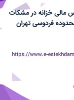 استخدام کارشناس مالی خزانه در مشکات فارمد توزیع در محدوده فردوسی تهران