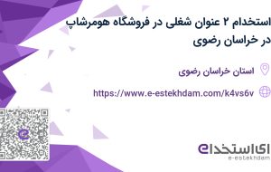 استخدام ۲ عنوان شغلی در فروشگاه هومرشاپ در خراسان رضوی