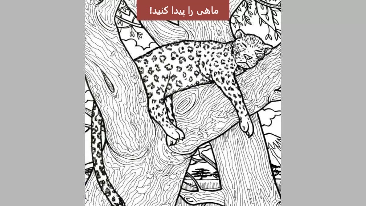 تست بینایی تشخیص ماهی