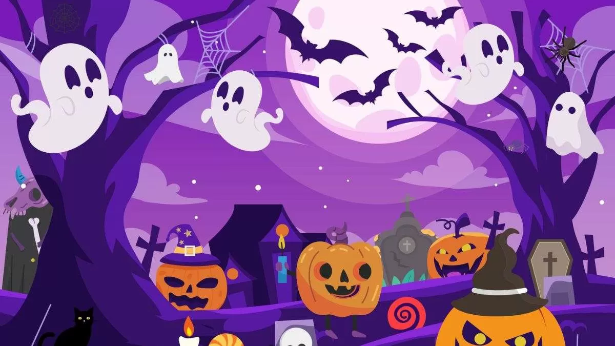 تست قدرت بینایی گربه سیاه