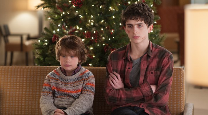 تیموتی شالامی در عاشق کوپرها باش