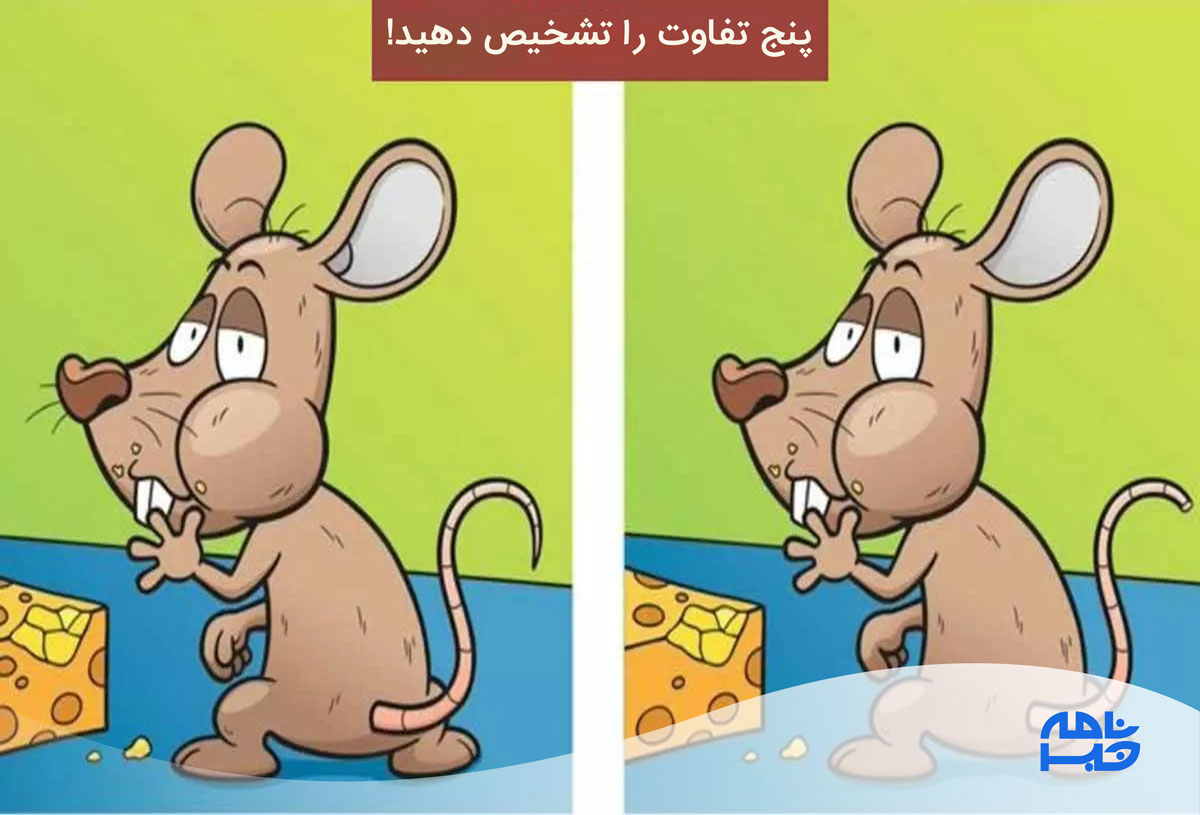 آزمون تفاوت تصویر موش