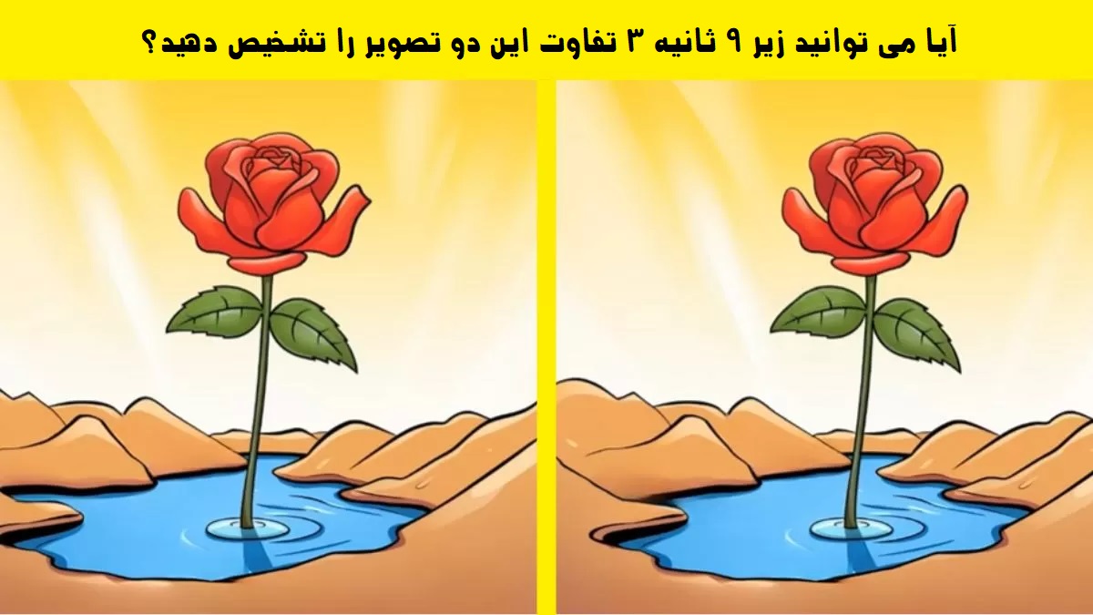 آزمون تفاوت تصویر گل