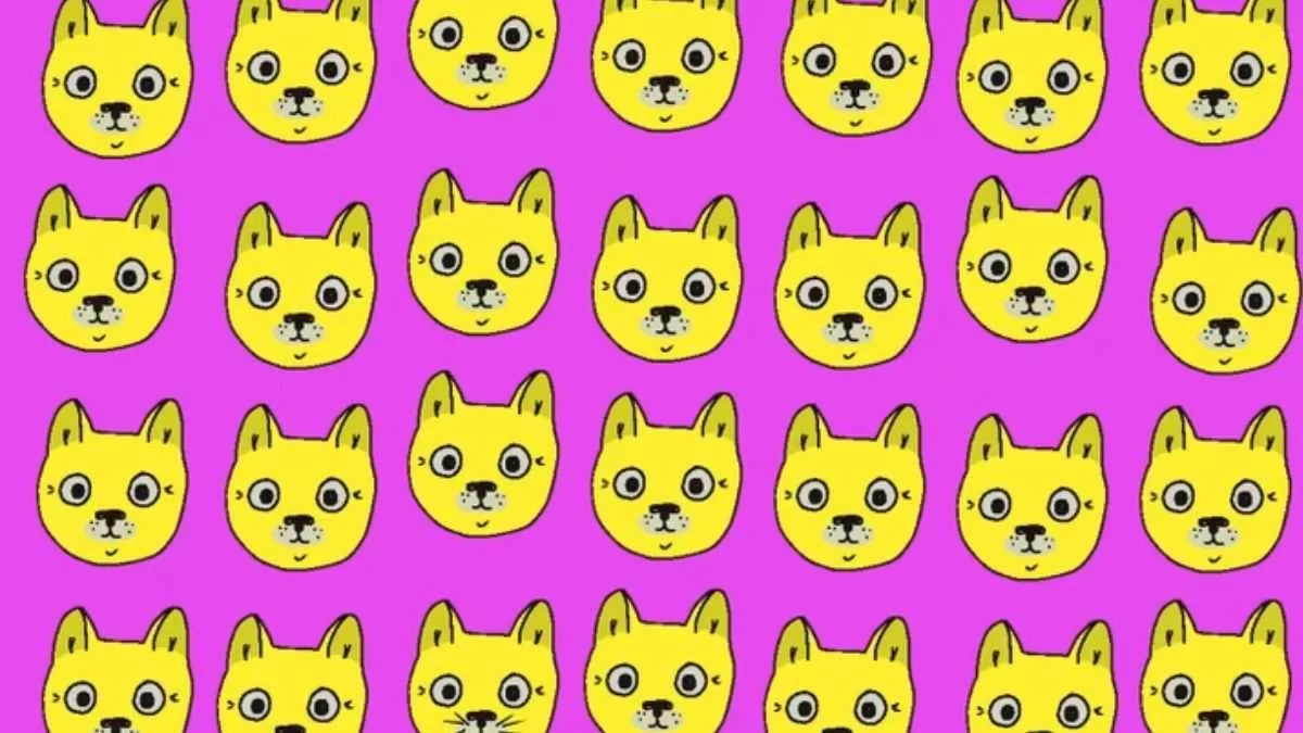 آزمون شناسایی گربه متفاوت