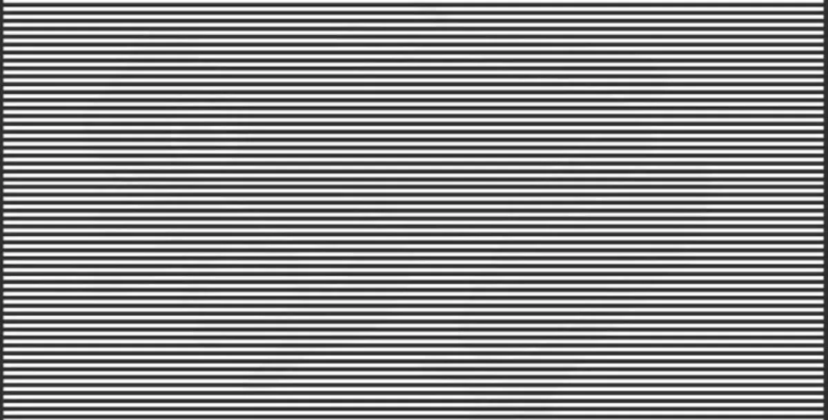 چالش تشخیص حیوان پنهان