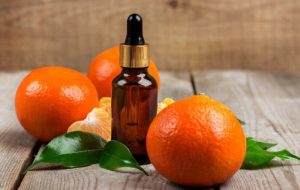 میوه پاییزی که قاتل عفونت های ویروسی است میوه پاییزی که قاتل عفونت های ویروسی است