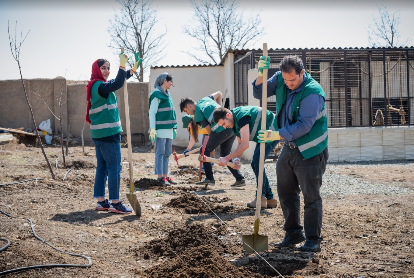 گزارشی از مسیر دیجی‌کالا مهر از دیروز تا امروز