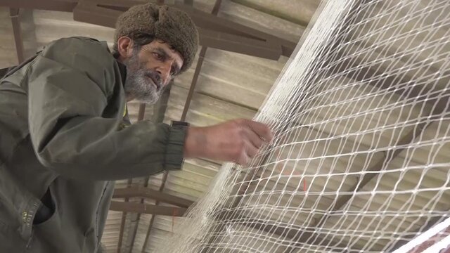 قصه عشق، پولک ماهی و سفره پر از نان