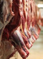 قیمت گوشت قرمز در بازار تهران کاهش یافت/ زایش مطلوب جمعیت دامی در پاییز