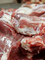 سود بازرگانی گوشت تازه و گوشت گوساله منجمد صفر درصد تعیین شد