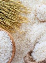 جدیدترین قیمت برنج ایرانی در بازار | برنج هاشمی و طارم عطری کیلویی چند شد؟
