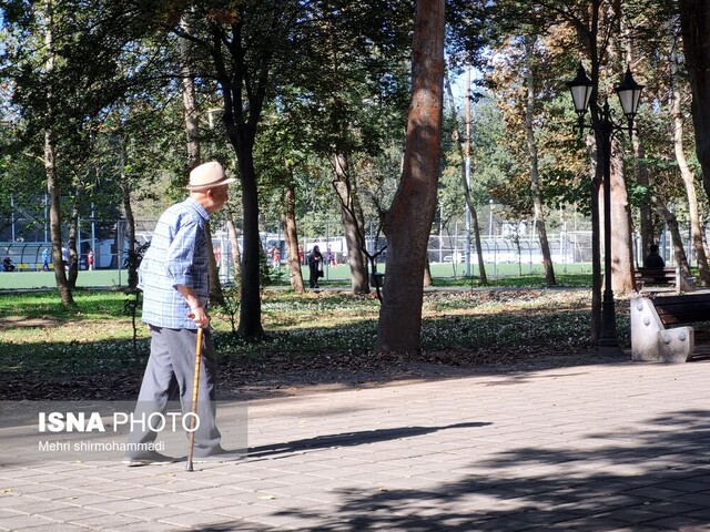 رد پای پاییز در باغ تاریخی "محتشم" رشت