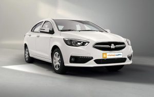 شاهین کارکرده ارزان قیمت چند؟ + جدول قیمت شاهین کارکرده ارزان قیمت چند؟ + جدول قیمت