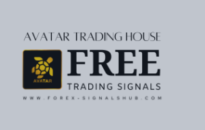 Case Studies of Successful Forex Trading – Trading Strategies – 18 November 2023