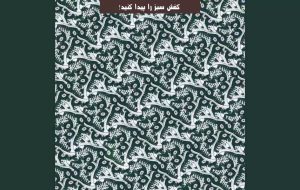 آزمون یافتن کفش سبز در طول 7 ثانیه