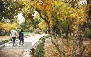 ایسنا – «فصل پاییز» باغات منصورآباد