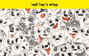 آزمون پروانه پنهان: اگر تیزبین هستید پروانه را در 8 ثانیه پیدا کنید!