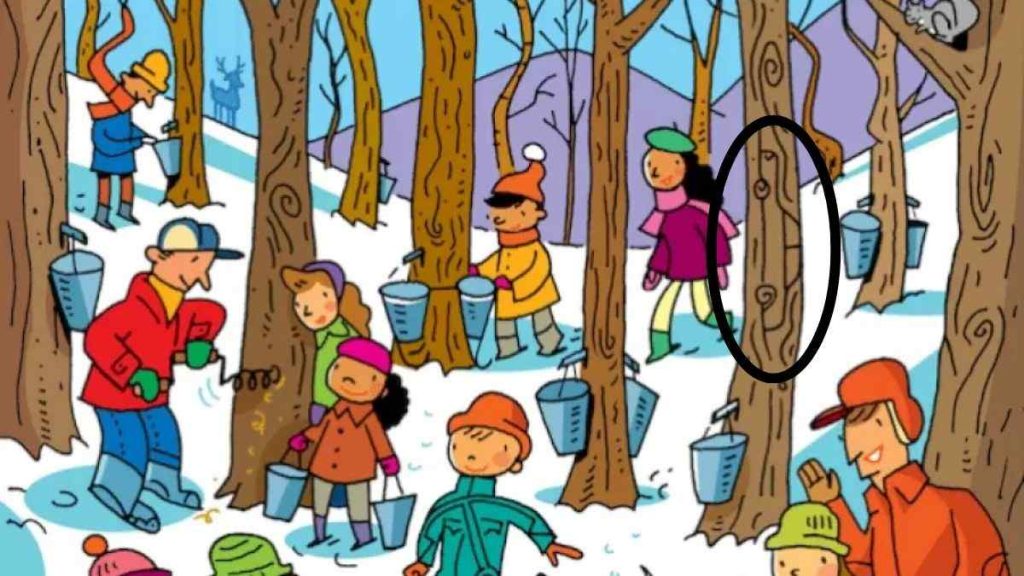 ماشین پنهان